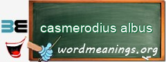 WordMeaning blackboard for casmerodius albus